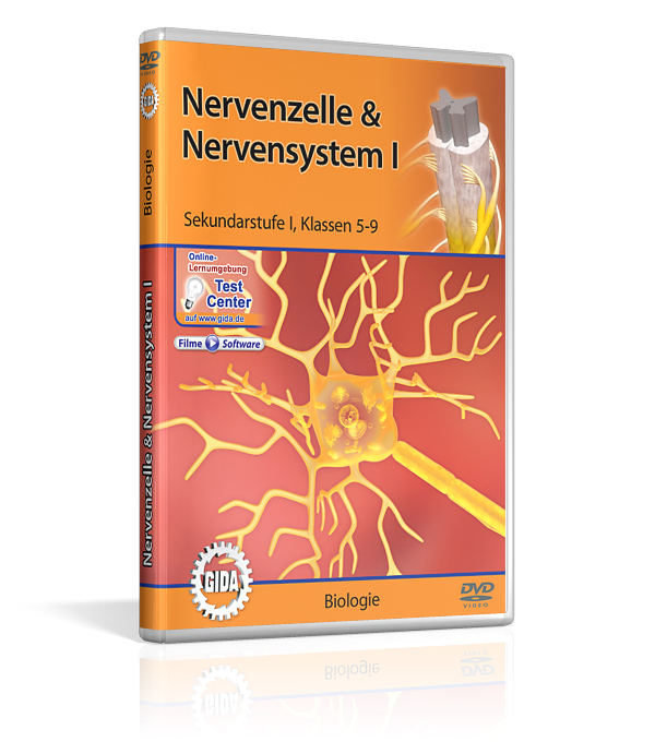 DVD-Cover mit dem Titel 'Nervenzelle & Nervensystem Eins' für Sekundarstufe 1. Es zeigt die grafische Darstellung einer Nervenzelle.