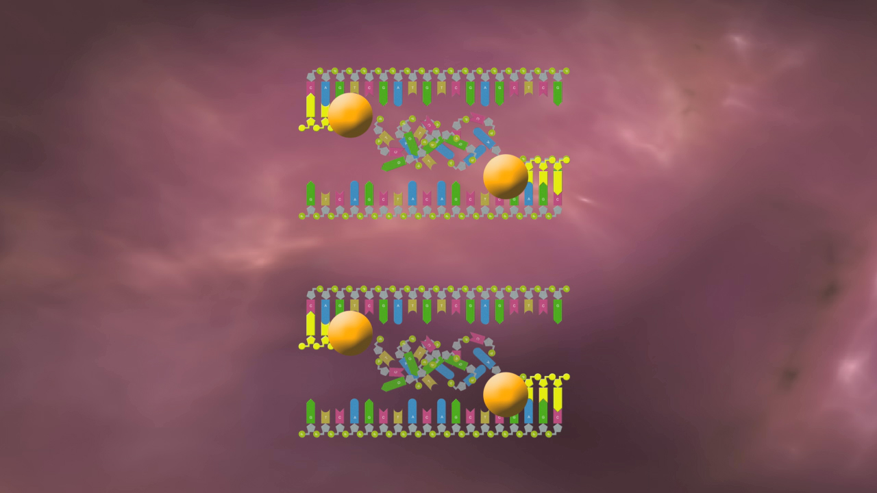 Grafik, die die Struktur von DNA-Molekülen mit verschiedenen Farben und Formen darstellt.