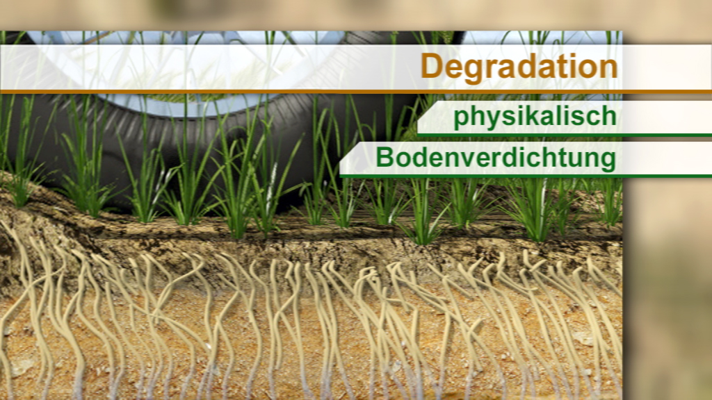 Grafik zur Bodenverdichtung mit Wurzeln von Pflanzen und einem Reifen im Hintergrund.