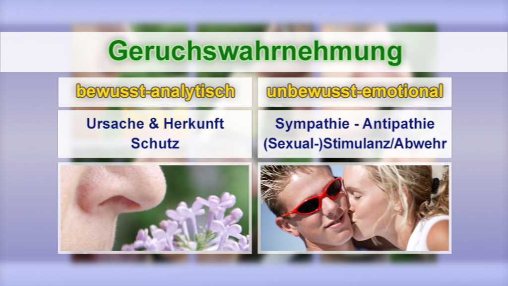 Infografik über Geruchswahrnehmung mit zwei Spalten: 'bewusst-analytisch' und 'unbewusst-emotional', mit Beispielen zu Ursachen und Sympathie.