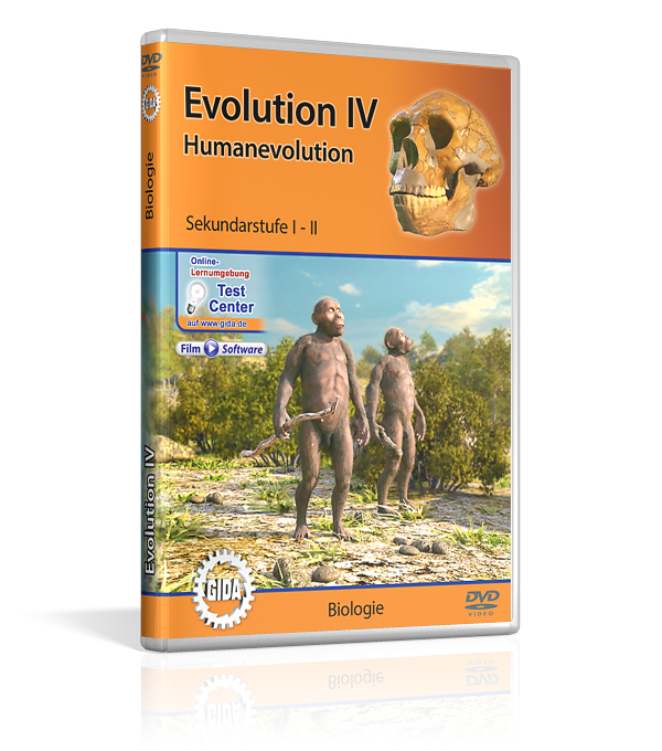 DVD-Cover mit dem Titel 'Evolution Vier' für die Sekundarstufen 1 und 2. Es zeigt eine Abbildung von Vor-Menschen (Australopithecus) und einem Schädel.