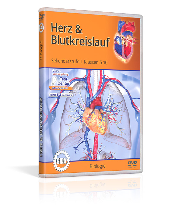 DVD-Cover für das Thema Herz und Blutkreislauf, geeignet für Schüler der Klassen 5-10, mit biologischen Inhalten.