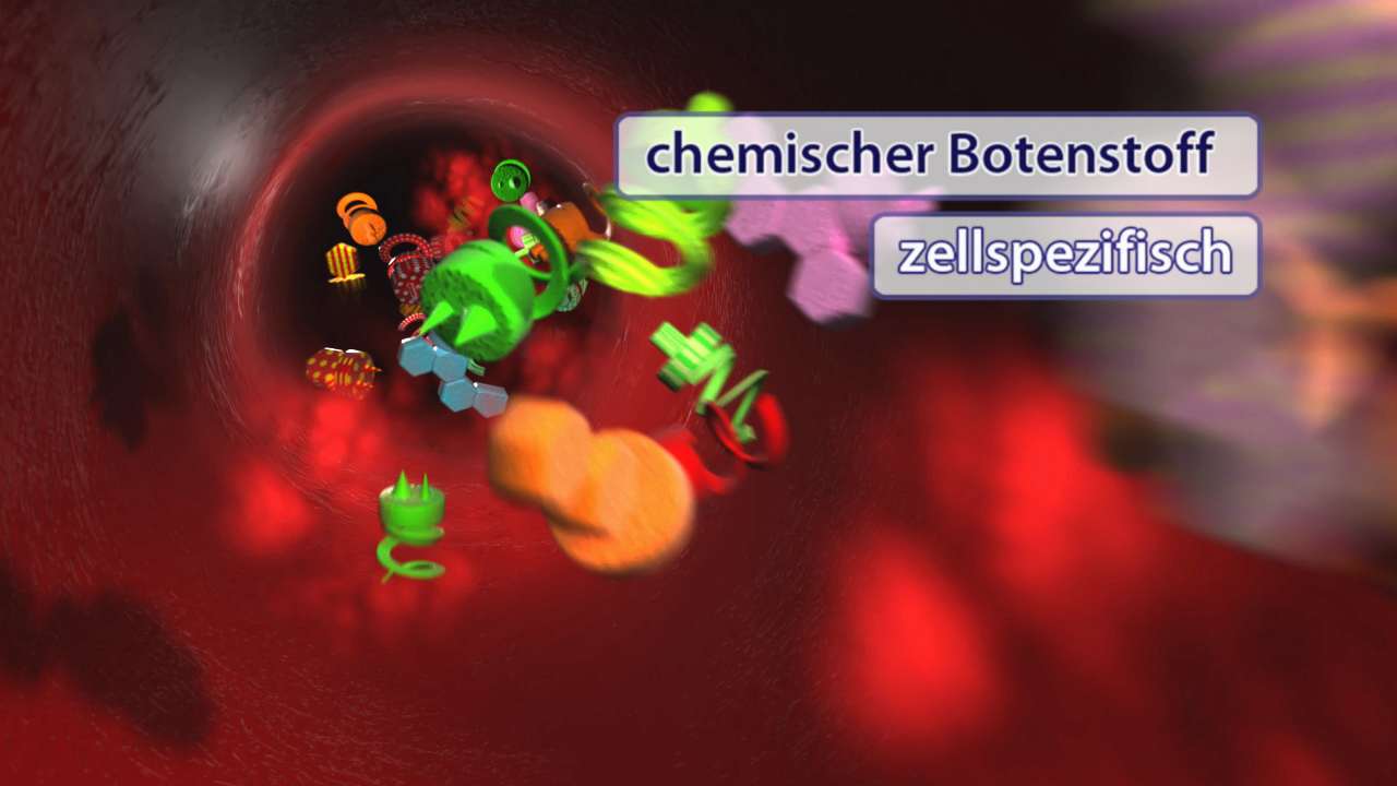 Animation von chemischen Botenstoffen in einem Blutgefäß, zeigt verschiedene Moleküle und deren Interaktion.