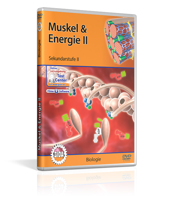 DVD-Cover mit dem Titel 'Muskel & Energie II' für Sekundarstufe 2. Es zeigt biologische Strukturen wie Muskelfasern und ATP-Moleküle.