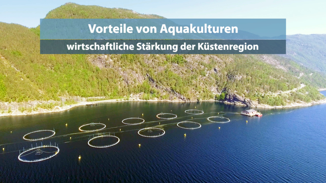 Luftaufnahme von Aquakulturen in einer Küstenregion mit Fischzuchtkäfigen im Wasser.