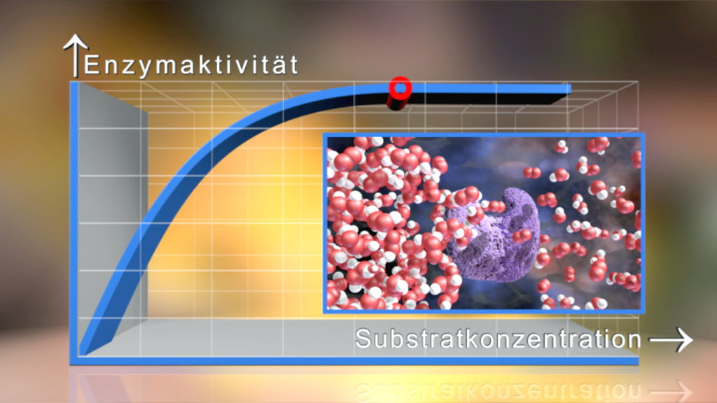 Grafik zur Enzymaktivität in Abhängigkeit von der Substratkonzentration, zeigt eine Kurve mit Molekülen.