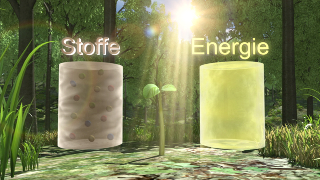Grafik, die zwei Zylinder zeigt: links 'Stoffe' mit einer strukturierten Oberfläche und rechts 'Energie' in gelber Farbe, umgeben von Pflanzen.
