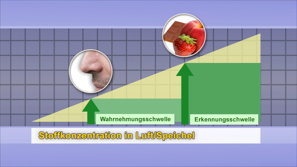 Diagramm zur Stoffkonzentration in Luft und Speichel mit Wahrnehmungs- und Erkennungsschwelle.