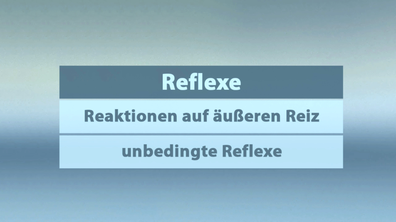 Infografik über Reflexe, die Reaktionen auf äußere Reize und unbedingte Reflexe beschreibt.