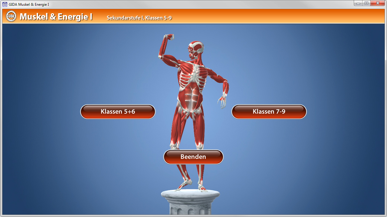 Interaktive Darstellung eines menschlichen Skeletts mit roten Muskeln, auf einem Sockel stehend. Optionen für Klassen 5-6 und 7-9 sind sichtbar.