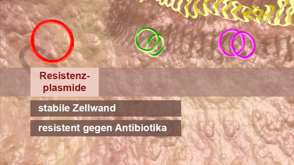 Grafik zeigt Resistenzen von Plasmiden, stabile Zellwand und Antibiotikaresistenz.