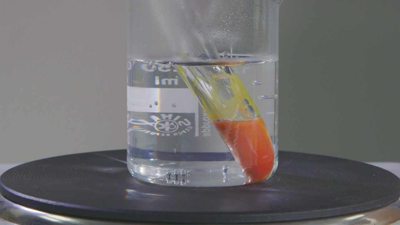 Ein Glasbehälter mit Wasser, in dem ein orangefarbenes Objekt eingetaucht wird.