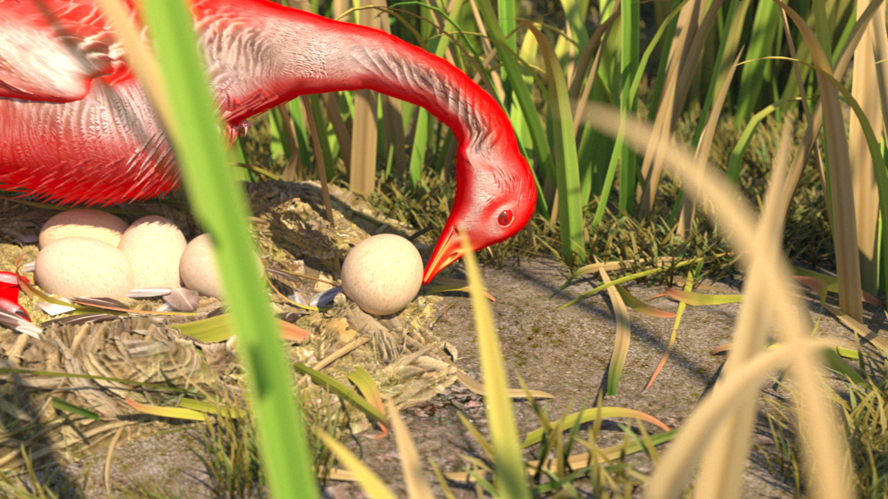 Ein roter Vogel beugt sich über ein Ei in einem Nest, umgeben von Gras.