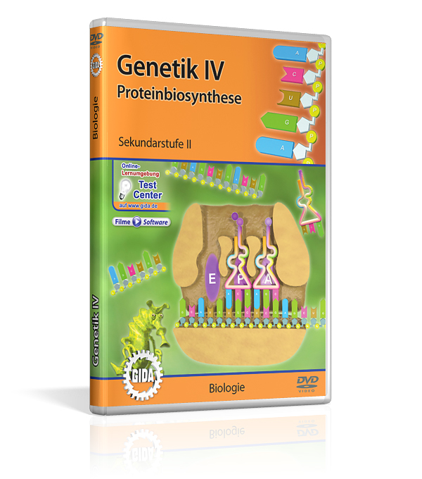 DVD-Cover für 'Genetik IV: Proteinbiosynthese', zeigt grafische Darstellungen von DNA und Proteinsynthese.