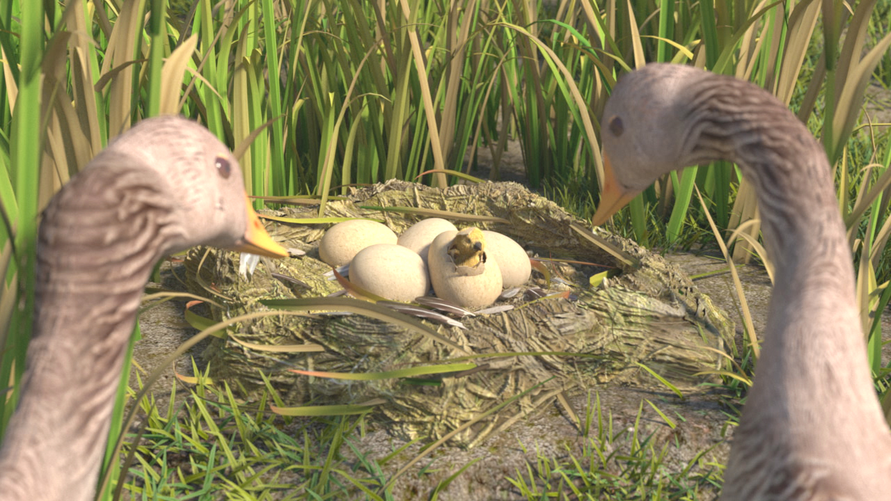 Zwei Gänse stehen neben einem Nest mit Eiern, während ein Küken schlüpft.