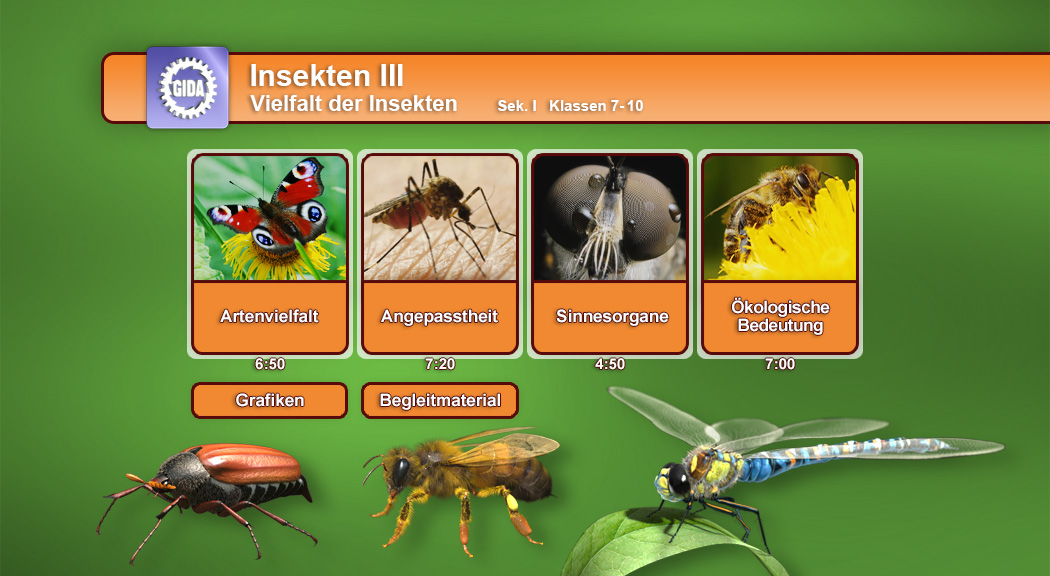 Infografik über Insekten mit vier Themenfeldern: Artenvielfalt, Angepasstheit, Sinnesorgane, ökologische Bedeutung.Infografik über Insekten mit vier Themenfeldern: Artenvielfalt, Angepasstheit, Sinnesorgane, ökologische Bedeutung.