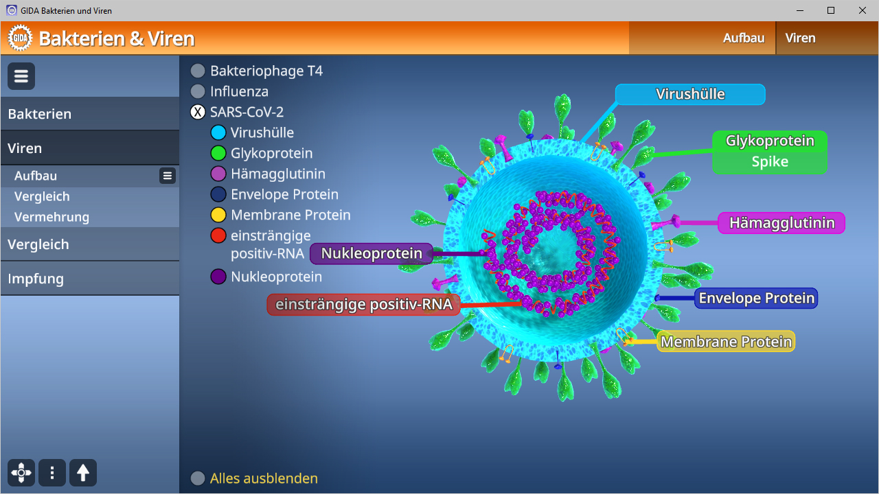 Grafik eines Virus mit beschrifteten Komponenten wie Spike-Protein, Nukleoprotein und Membranprotein.
