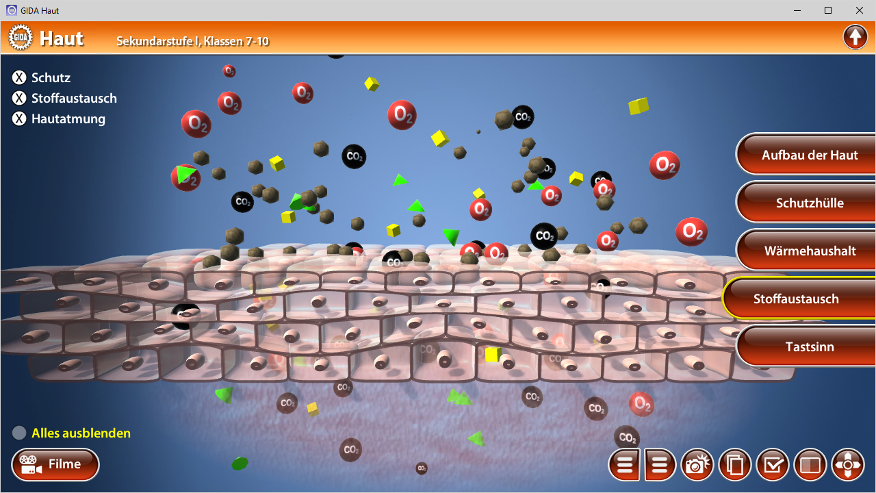 Grafik zeigt die Hautschichten mit Molekülen für Schutz, Stoffaustausch und Wärmeregulation.