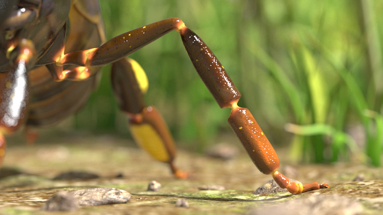 Nahaufnahme eines Insekts mit einem detaillierten Bein, das über den Boden krabbelt, umgeben von Gras.