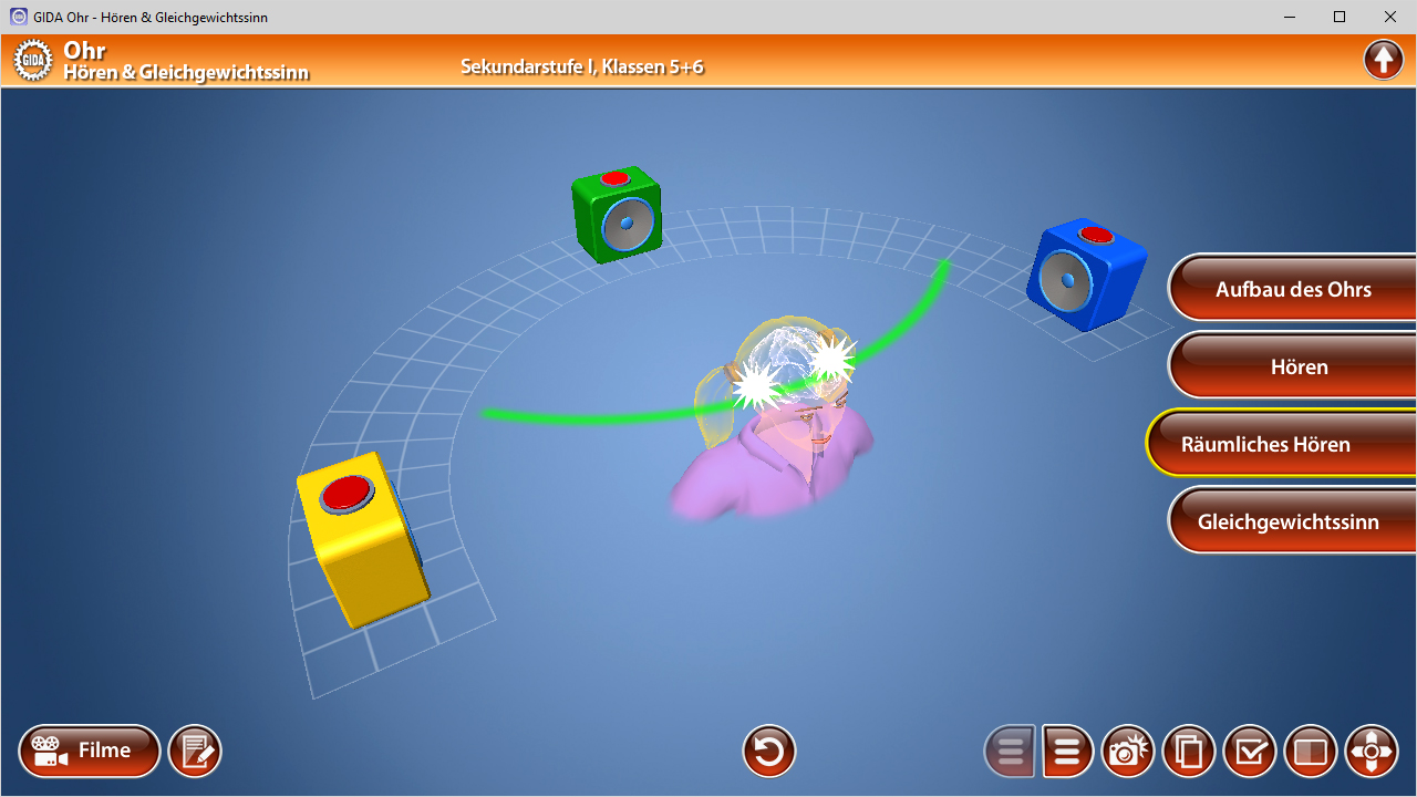 Interaktive 3D-Darstellung eines Ohrs mit farbigen Würfeln zur Demonstration des Gleichgewichtssinns.