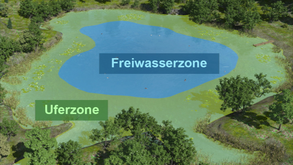 Grafik eines Gewässers mit beschrifteten Zonen: 'Freiwasserzone' und 'Uferzone'.