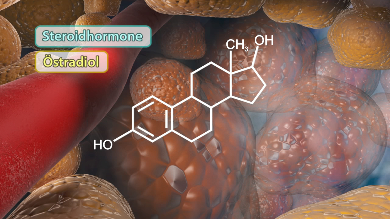 Darstellung von Steroidhormonen mit dem chemischen Strukturdiagramm von Östradiol in einer zellulären Umgebung.