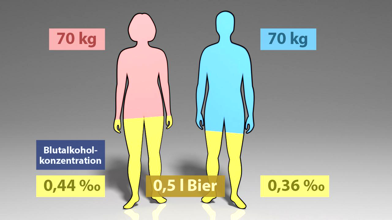 Grafik zeigt den Unterschied in der Blutalkoholkonzentration zwischen einer Frau und einem Mann mit je 70 kg Körpergewicht nach dem Konsum von 0,5 l Bier.