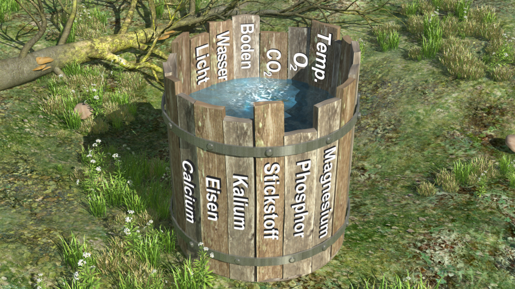 Ein Holzfass mit Wasser, beschriftet mit chemischen Elementen und Stoffen wie Calcium, Magnesium und Phosphor.