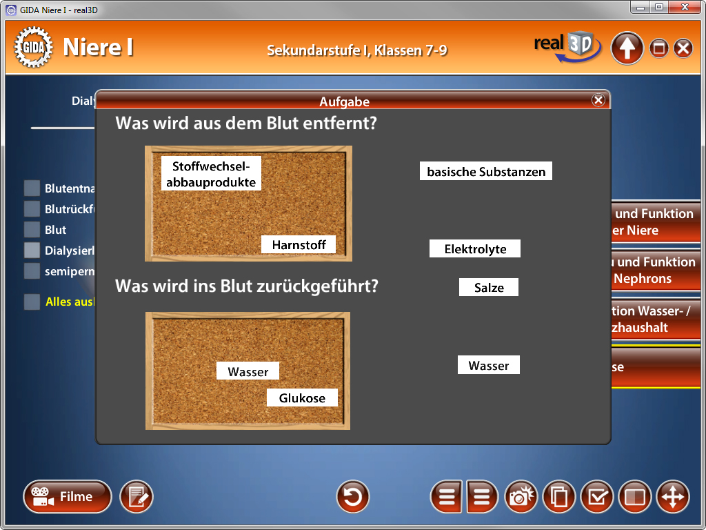 Interaktive Lernanwendung über die Nierenfunktion mit Aufgaben zu Blutbestandteilen und deren Entfernung.