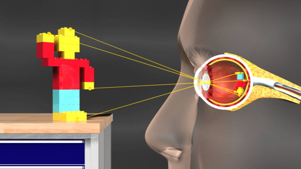 Diagramm, das zeigt, wie Licht von einer Figur auf das menschliche Auge trifft und fokussiert wird.