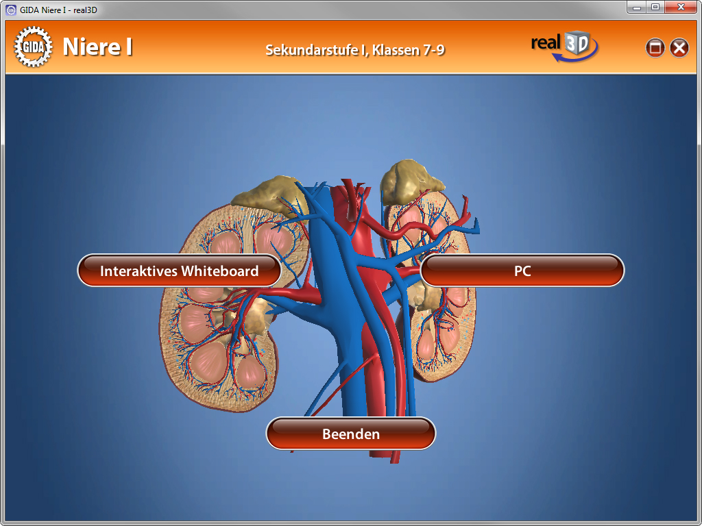 3D-Darstellung der menschlichen Niere mit Blutgefäßen, interaktive Optionen für Unterrichtsmaterialien.