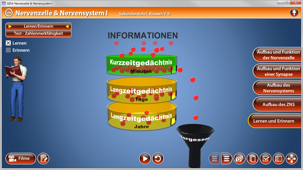 Diagramm zur Funktionsweise des Gedächtnisses mit drei Schichten: Kurzzeitgedächtnis (Minuten), Langzeitgedächtnis (Tage), Langzeitgedächtnis (Jahre).