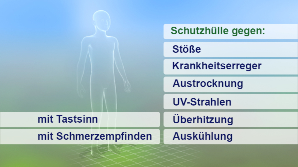 Grafik, die die Schutzfunktionen des Körpers auflistet: Stöße, Krankheitserreger, Austrocknung, UV-Strahlen, Überhitzung, Auskühlung, mit Tast- und Schmerzempfinden.