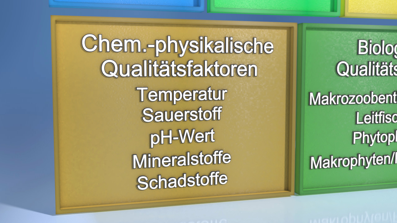 Tabelle mit chemisch-physikalischen Qualitätsfaktoren: Temperatur, Sauerstoff, pH-Wert, Mineralstoffe, Schadstoffe.