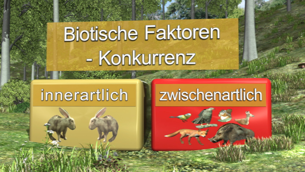 Grafik über biotische Faktoren mit dem Titel 'Biotische Faktoren - Konkurrenz'. Links: innere Konkurrenz mit zwei Kaninchen. Rechts: zwischenartliche Konkurrenz mit verschiedenen Tieren.