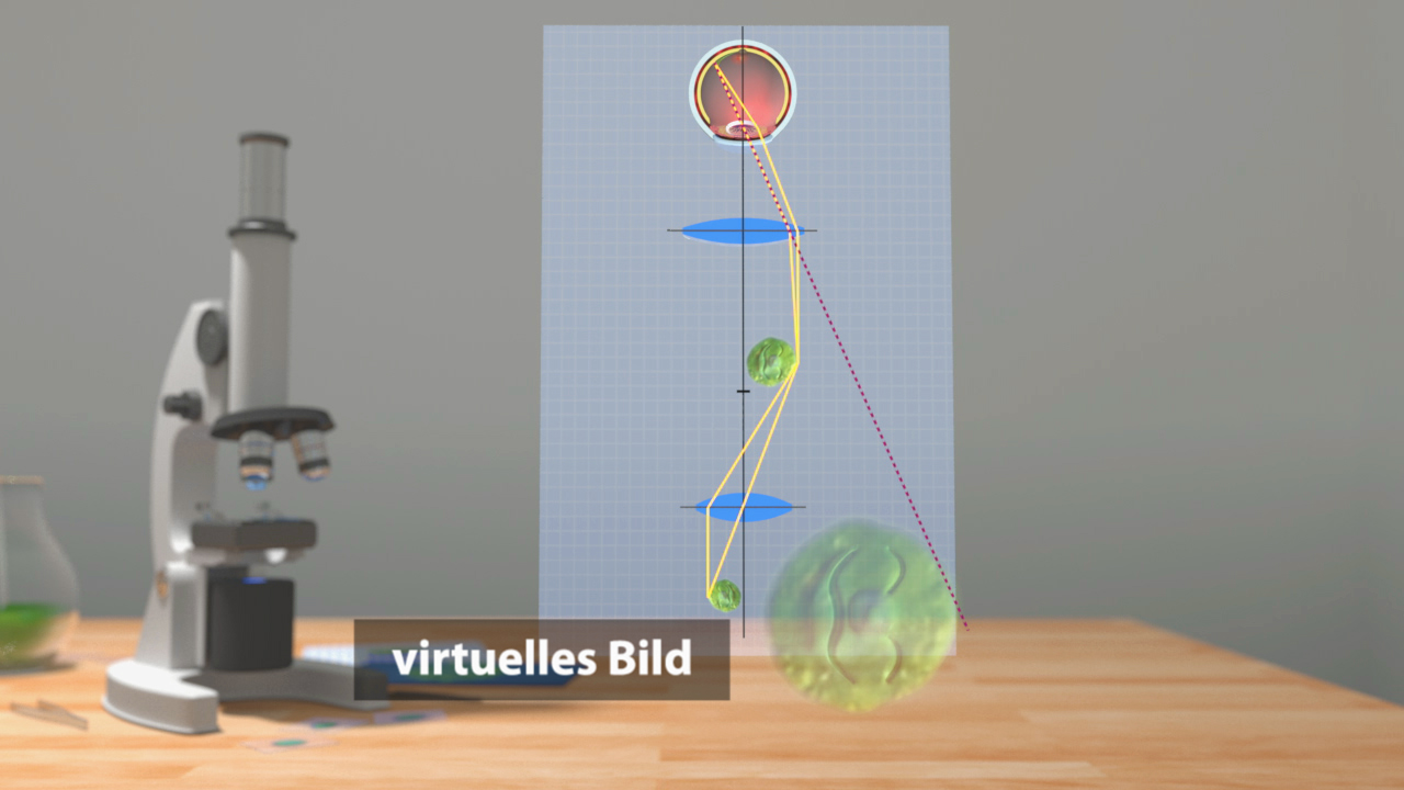 Diagramm eines virtuellen Bildes, das durch ein Mikroskop erzeugt wird, mit Lichtstrahlen und Objekten.