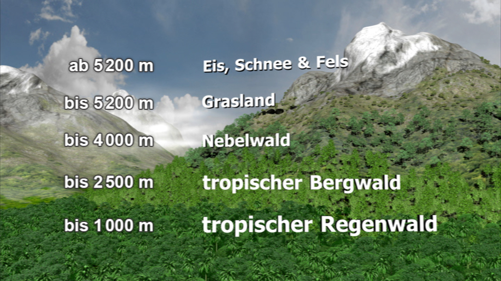 Ein Diagramm, das verschiedene Vegetationszonen in Höhenlagen zeigt: ab 5200 m Eis, Schnee und Fels; bis 5200 m Grasland; bis 4000 m Nebelwald; bis 2500 m tropischer Bergwald; bis 1000 m tropischer Regenwald.