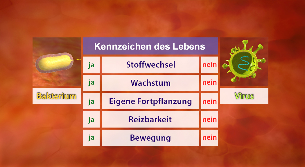 Tabelle mit den Kennzeichen des Lebens für Bakterien und Viren, zeigt Unterschiede in Stoffwechsel, Wachstum, Fortpflanzung, Reizbarkeit und Bewegung.