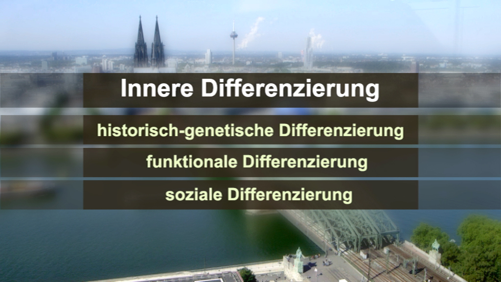 Infografik zur inneren Differenzierung mit den Kategorien: historisch-genetische Differenzierung, funktionale Differenzierung, soziale Differenzierung.