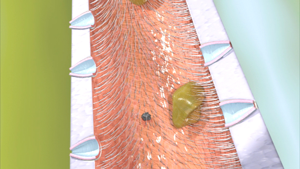 3D-Darstellung eines Blutgefäßes mit fließendem Blut und Zellen.