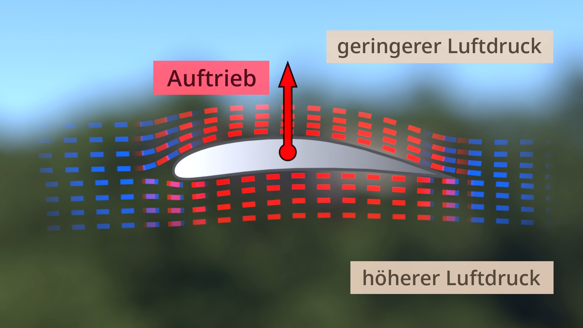 Aerodynamische Darstellung eines Tragflügels mit Pfeil nach oben und farbigen Linien, die geringeren Luftdruck oben und höheren Luftdruck unten anzeigen. Das Prinzip von Auftrieb.