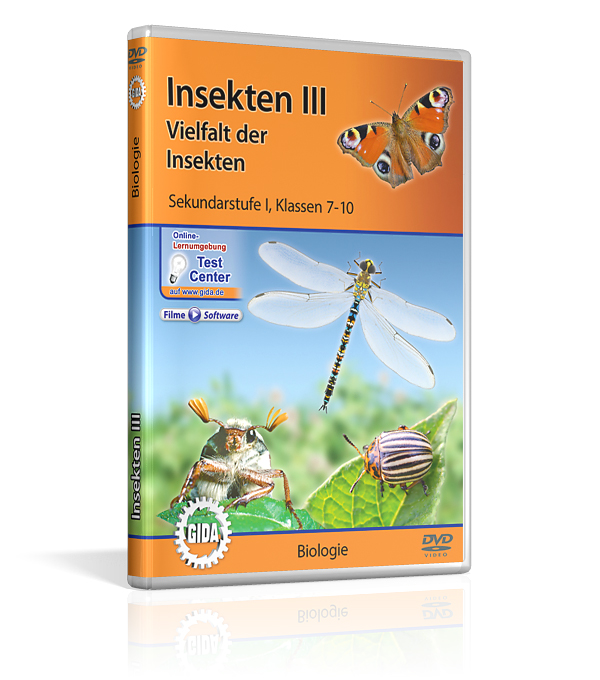 Ein Insektenhotel aus Holz mit verschiedenen Nistplätzen für Wildbienen und andere Insekten.