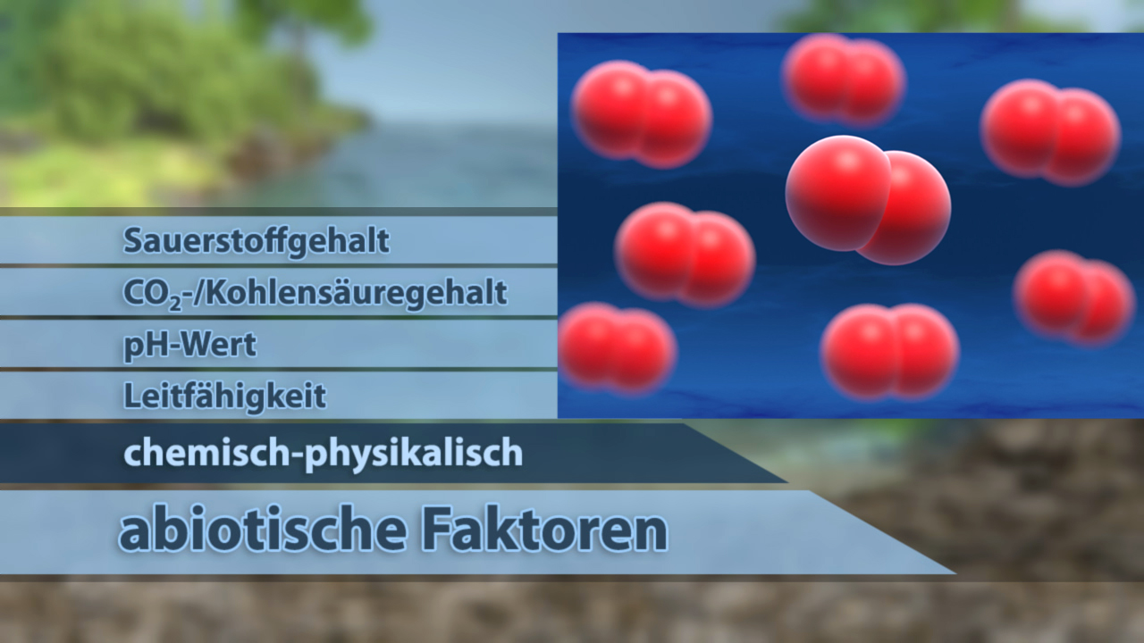 Infografik zu abiotischen Faktoren mit chemisch-physikalischen Parametern wie Sauerstoffgehalt, CO2-Gehalt, pH-Wert und Leitfähigkeit, dargestellt mit roten Molekülen.