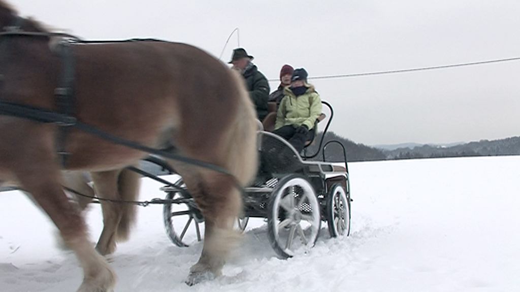 Pferdeschlittenfahrt im Schnee mit zwei Passagieren und einem Fahrer.