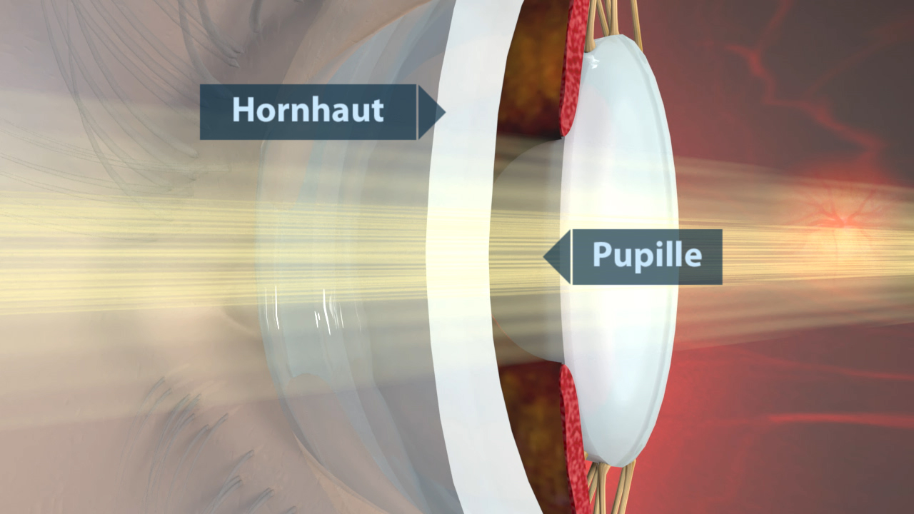 Diagramm des menschlichen Auges, das die Hornhaut und die Pupille zeigt, mit Lichtstrahlen, die auf die Pupille treffen.