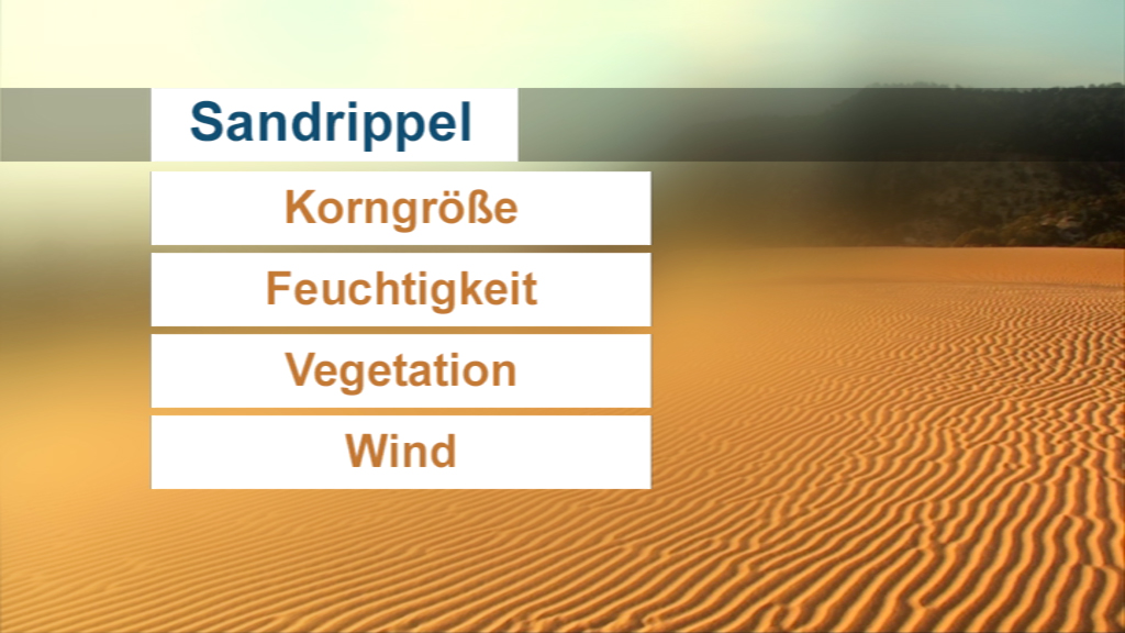 Tabelle mit den Faktoren, die Sandrippel beeinflussen: Korngröße, Feuchtigkeit, Vegetation, Wind.