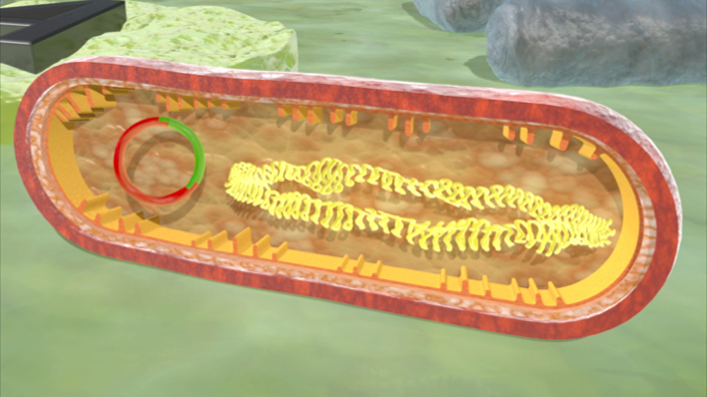 3D-Darstellung einer Bakterienzelle mit DNA-Strang und Zellmembran.