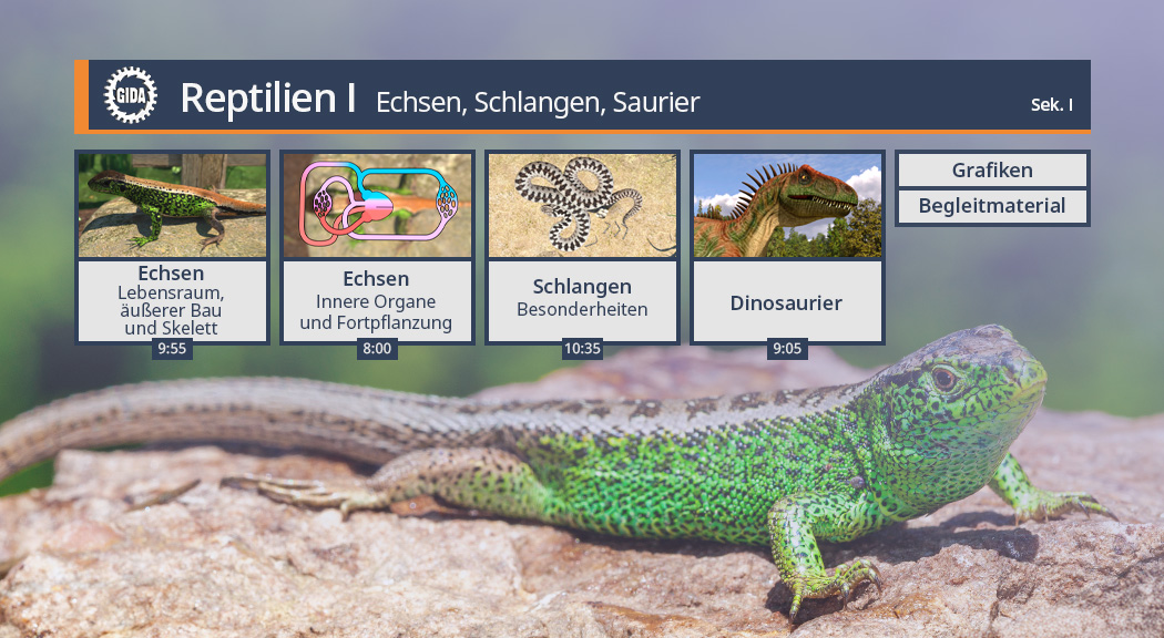 Menü des Films "Reptilien I – Echsen, Schlangen, Saurier".