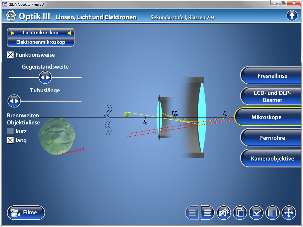 Grafik zeigt schematisch die Funktionsweise eines Lichtmikroskops