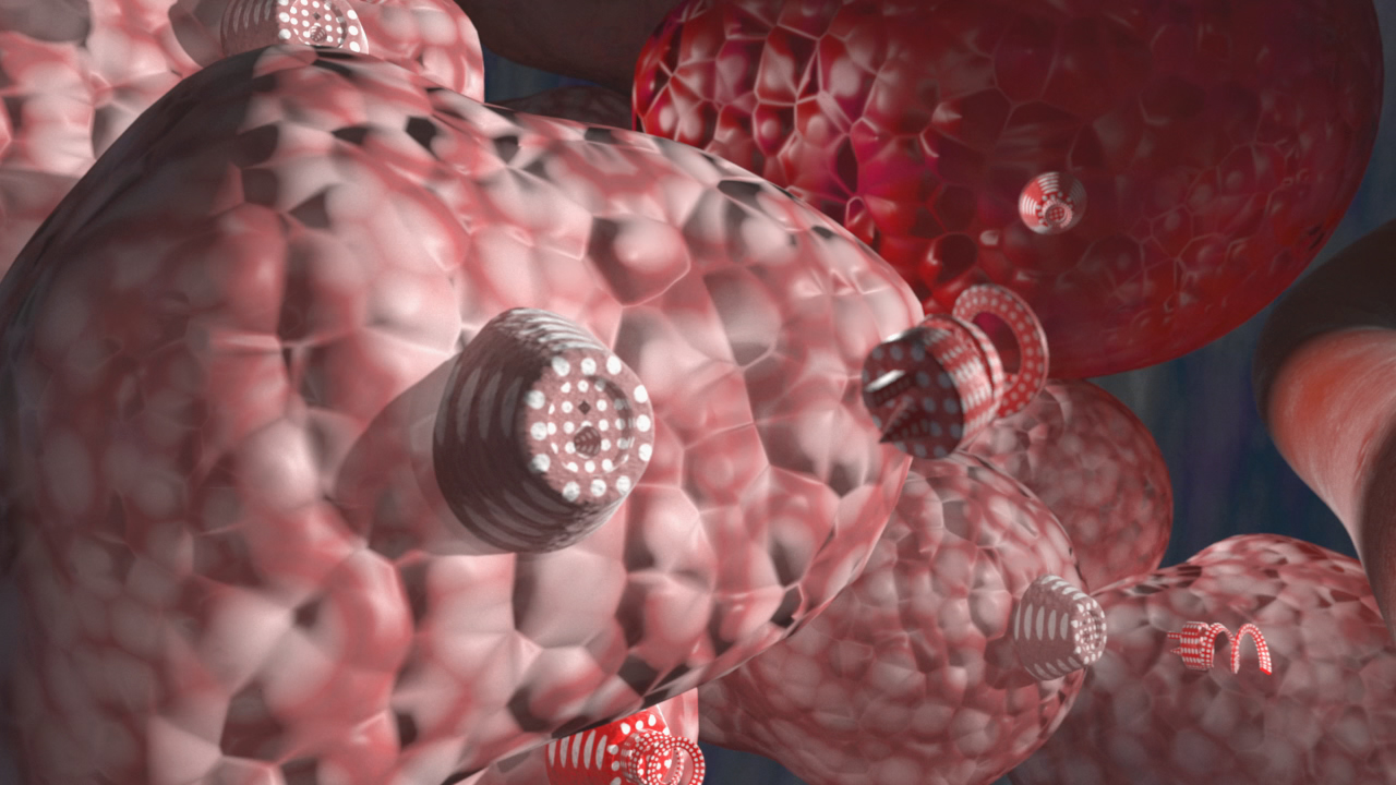 Detailansicht von Zellen mit organellenähnlichen Strukturen in rötlichen Farbtönen.